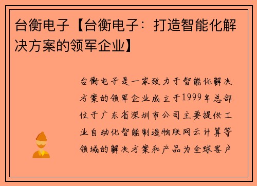 台衡电子【台衡电子：打造智能化解决方案的领军企业】