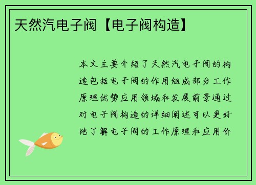 天然汽电子阀【电子阀构造】